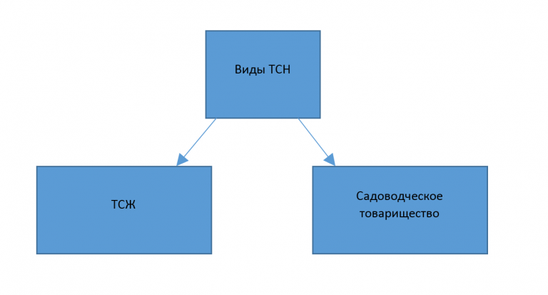 Как изменить название ТСН в 2024 году?